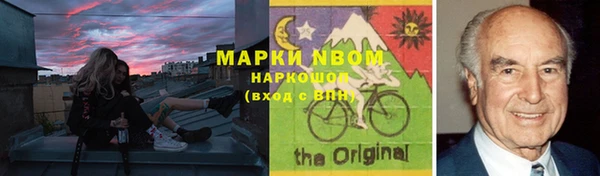 прущие грибы Алексеевка