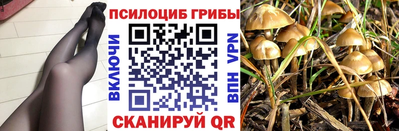 наркотики  Удачный  OMG сайт  Галлюциногенные грибы мухоморы 